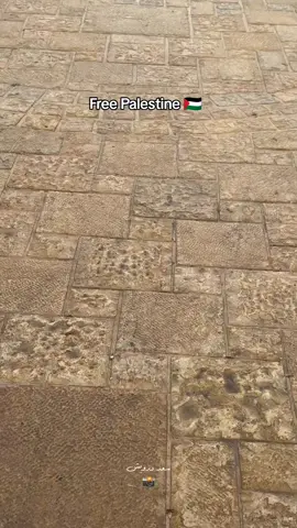 Kesucian al aqsa akan kami jaga selamanya 🇵🇸  #freepalestine🇵🇸❤️ #alaqsa #masjidalaqsa #baitulmaqdis #foryou 