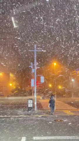 ที่ #ญี่ปุ่น เมื่อคืนนี้มีหิมะตกหนักใน #ซัปโปโร #ฮอกไกโด ประเทศญี่ปุ่น  วิดีโอจาก meimei. Heavy snow has fallen in #Sapporo, #Hokkaido, Japan tonight. Video from meimei.