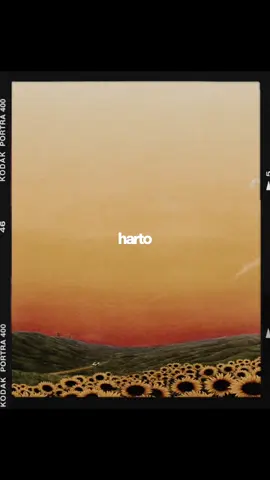 Nos vemos de nuevo 🐝#tylerthecreator #nosvemosdenuevo #tylerthecreatoredit  #inspiracion #tylerthecreatoredits 