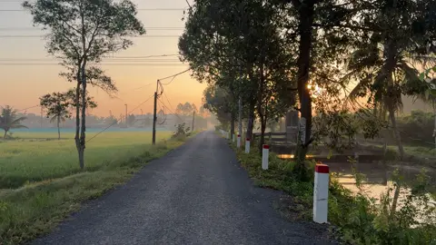 Bình Chánh sáng chill quá nè ae 😊 #nhạcchillcảnhđẹp #chill #bìnhchánh #xuhuongtiktok #fyp 