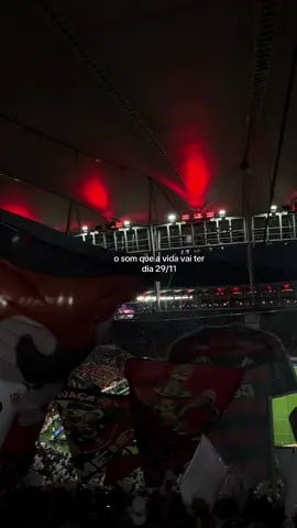 seremos campeões 🏆 #flamengo #foryou #libertadores 