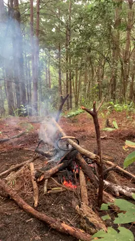 #creatorsearchinsights Uống Trà, trong Rừng, Đà Lạt. Tự nhiên, đẹp một cách tự nhiên. Sự sống của tự nhiên, sự sống của hơi thở. Sự thật của tự nhiên, sự thật của hơi thở. Tự nhiên cứ thế diễn ra, những gì thuộc về hơi thở cứ thế diễn ra. Chẳng cần né tránh, chẳng cần phân tích, chẳng cần gì cả. Tự nhiên cứ thế mà tự nhiên ✨🌈 Con biết ơn. Aho 🙏🌀  #phuongngoc  #tea  #teaceremony  #intheforest  