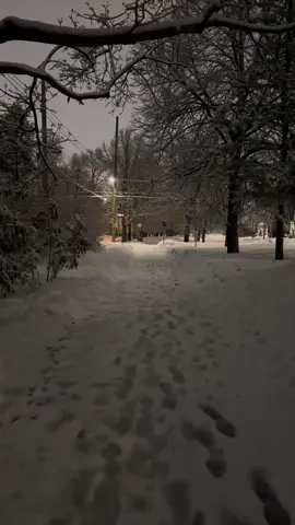 #snow #fog #cold #dark #aestheticvideos 