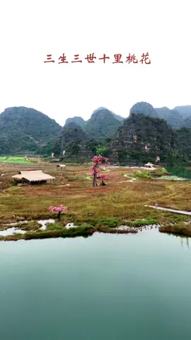 Cảnh vật còn đây, Tứ ca người đang ở đâu?#justiceforyumonglong #于朦胧 #vumonglung🍋🍋 #fyp #vairal 