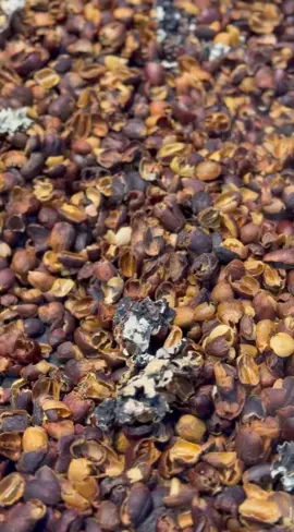 قشر #قشر #your_coffee 