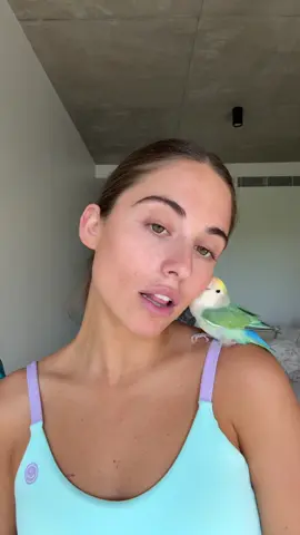 martin is the only boy that gets under my skin x (literally bc he bites) #parrot #fyp 