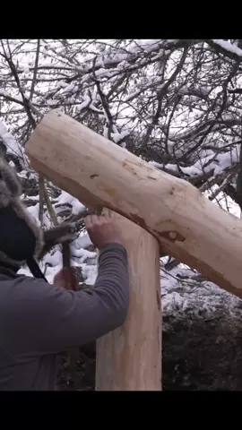 The process of building a safe haven in the Wilderness  #camping #survival #Outdoors 
