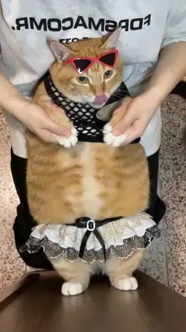 #foryou#xuhuong#fyp#funny#phổbiến#TikTok#dancechallenge#fun#cute#music#picoftheday#tiktok4fun