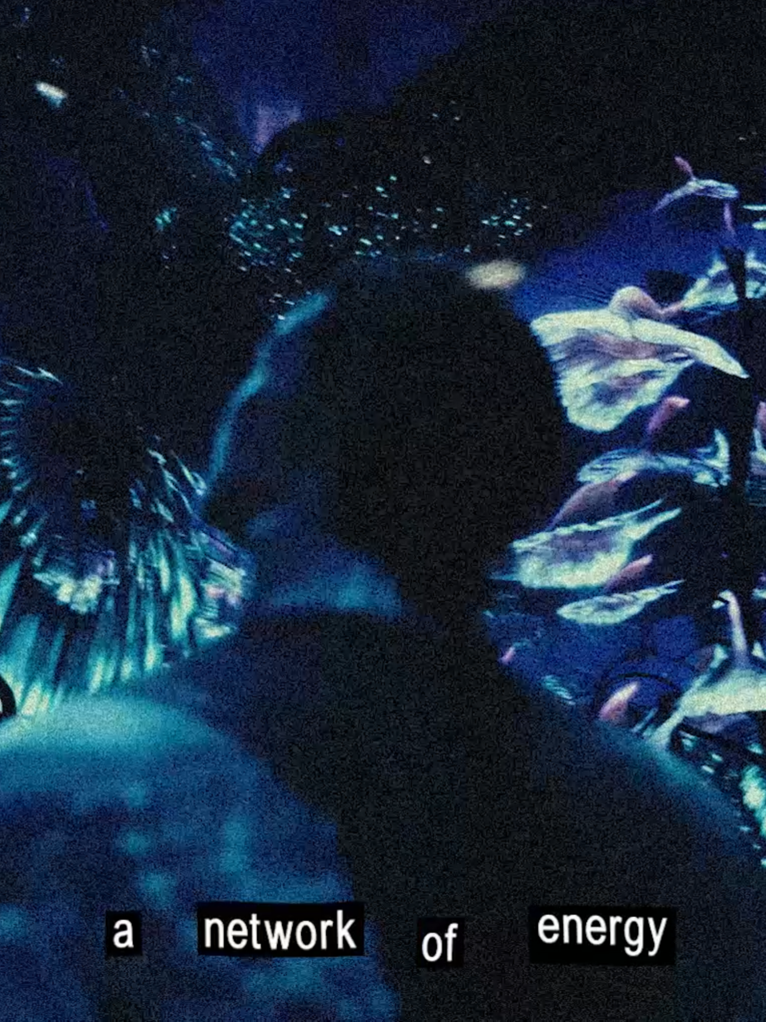 i will always love these movies cc s6turn  #neytiriavatar #avatarthewayofwater #avatar2009 #jamescameronfilm #jamescameron #edit #aftereffects #smooth #blowthisup #fyp #dontflop #baetirii #avataredit #pandoraedit #pandora #smooth #satisfyingvideo #bluealiens #avatarfireandash #avatar3 #btsavatar #viral #editor #editing #jakesully