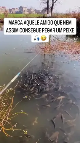 #pescadorraiz #muitopeixe #lagostiktok #vidanaroça #videoviral 