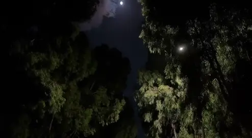 #quran #قران #ئەکتیڤبن🥀🖤ـہہـ٨ــہ #foryou #kalar ♥️🌚