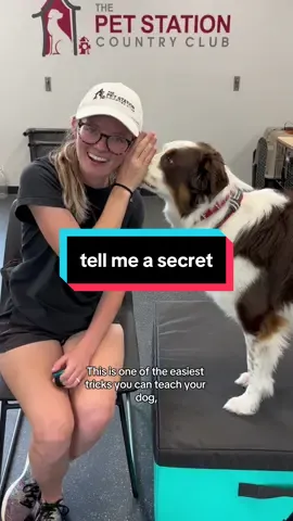 shhhh 🤫 #DogTraining #dogtrainer #dogowner #dogtricks #dogtrickstraining  