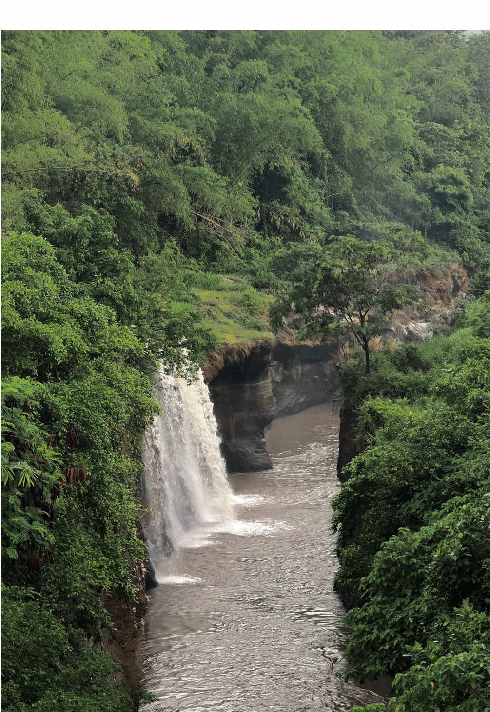 Air Terjun Walidono 😁😂 #bondowoso #bondowosokeren #fyp #fypシ #foryoupage 