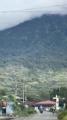 #kayuarokerinci #kerinci_jambi_indonesia #fyp #masukberandatiktok 