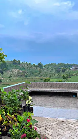 #CapCut #rengel #bungacantik #tuban24jam #tuban 