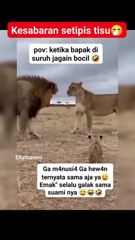 wkkwkw 🤭🤣😂 #komedi #lucu #hiburan #fyp 