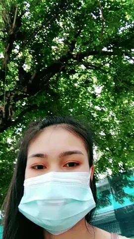 #💥🌿❤️‍🔥เทรนมาแรงอันดับ ไม่ไหวบอกไหว