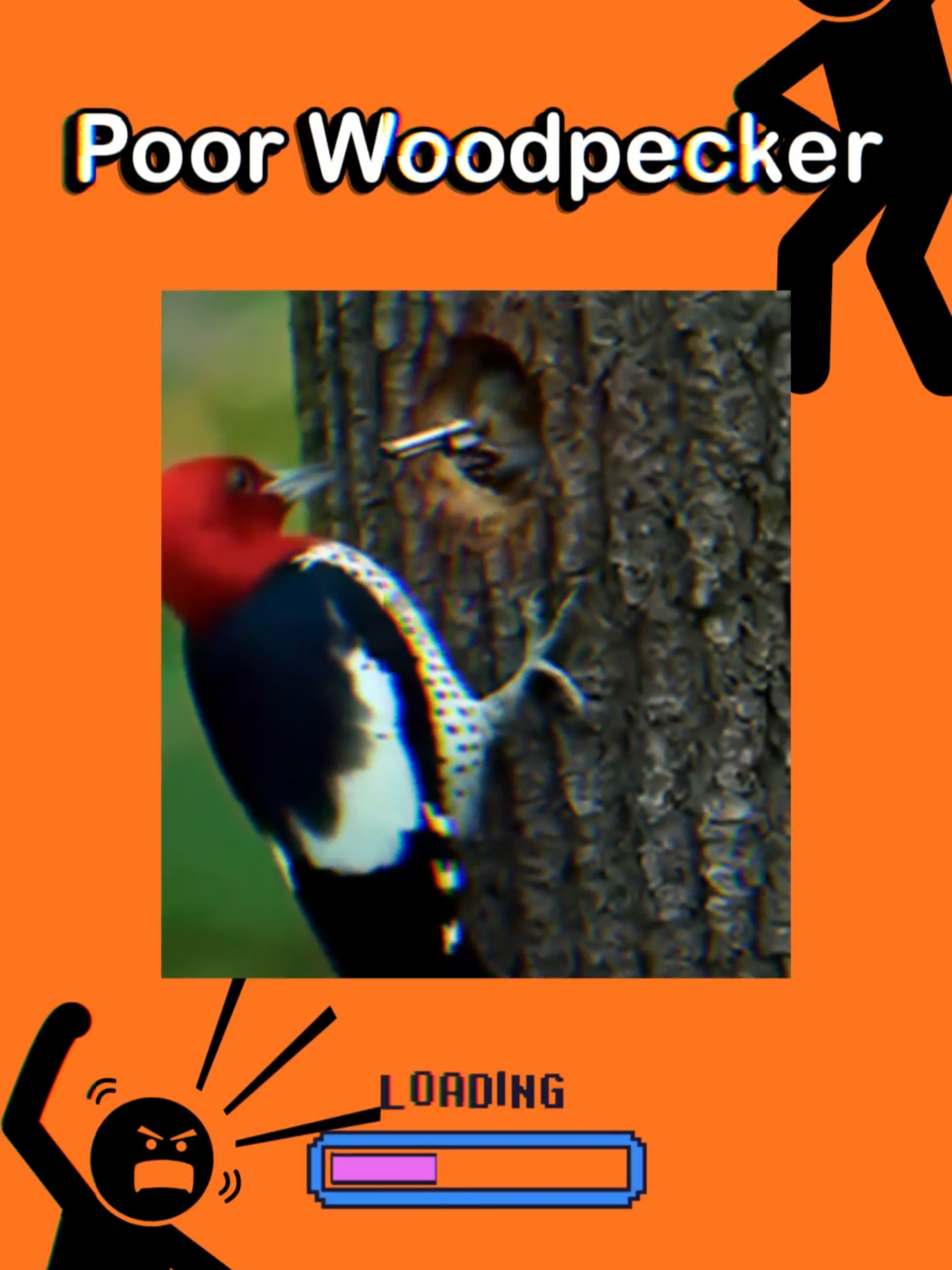 Poor Woodpecker #analoghorror #animation #horrorstory #funny #scary #meme #humor #comedyvideo #terror