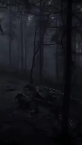 #pyf #tendenciatiktok #viraltiktok #viral 