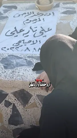 حبيبي وصاحبي 💔#ابي #مقبره_وادي_السلام💔😞 #النجف_الاشرف #كربلاء_مدينة_العشق_والعاشقين #CapCut 