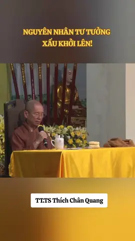 Nguyên nhân tư tưởng xấu khởi lên #tonkinhphat #phatphapnhiemmau #thientonphatquang❤ #toiyeuvietnam #tttsthichchanquang 