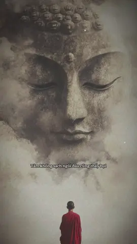 Tâm không sạch ngồi đâu cũng thấy bụi #nammoadidaphat #nammobonsuthichcamauniphat 