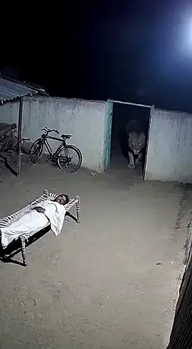 #foryou #fyp #treading #viral_video 