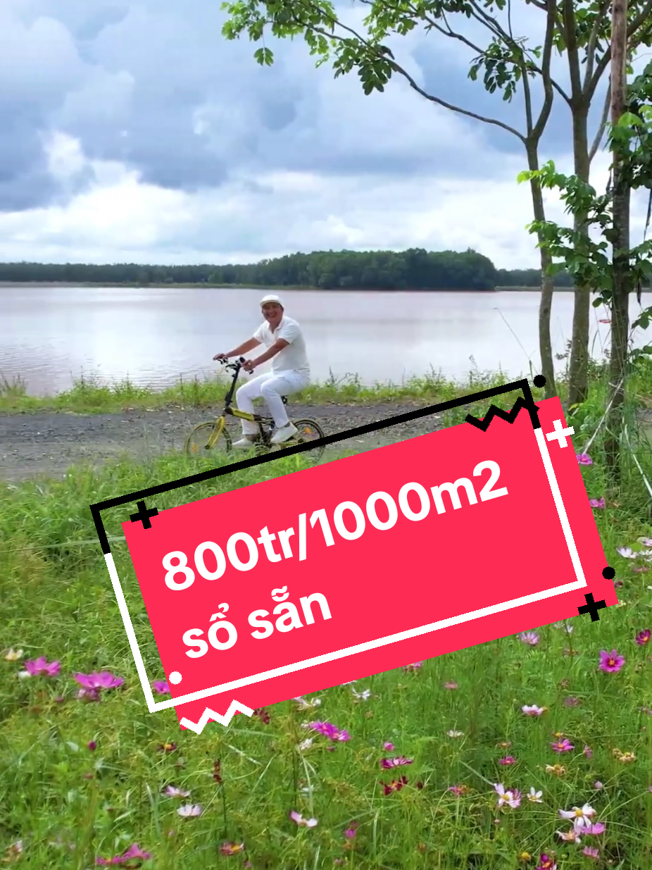 1000m2 sổ sẵn công chứng sang tên trong ngày giá 800tr,  gặp a Thông luôn nha  Bds View Hồ , mặt tiền đường lớn quy hoạch đất ở luôn #bdsbinhphuoc #bdsdongnai #reviewbdstaynguyen #dangvanhaibds