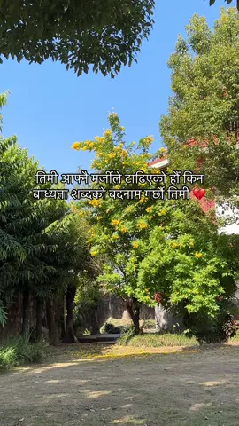 तिमी आफ्नै मर्जीले टाढिएको हौँ किन बाध्यता शब्दको बदनाम गर्छौ तिमी 💔#foryoupage #creatorsearchinsights 