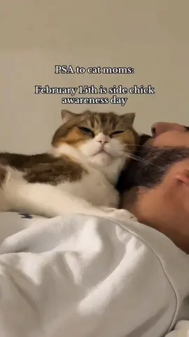 Reason why I love cats so much ❤️ #cat #dog #pet #baby #Love #TrueLove #lovestory #bestfriend #cute #dogsofttiktok #foryou #usa🇺🇸 