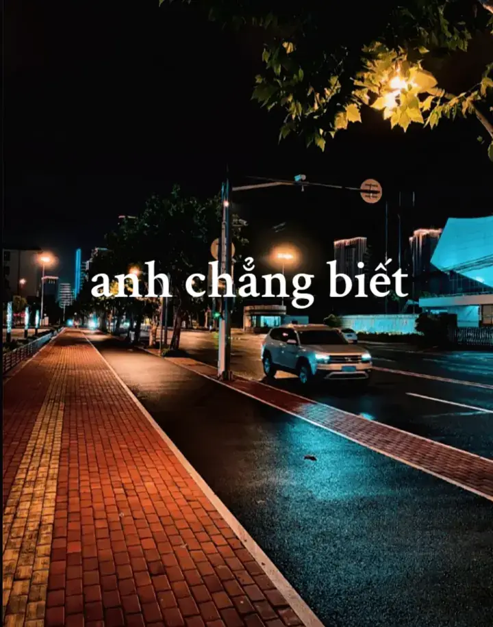 #tinhanh #xuhuongtiktok #xu_huong anh chẳng biết 