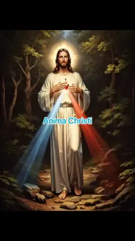 El Anima Christi es una oración antigua y profundamente contemplativa, atribuida tradicionalmente a San Ignacio de Loyola, aunque rezada por los fieles desde la Edad Media. Este canto es una súplica humilde al Señor Jesús para ser purificados, fortalecidos y protegidos por su Pasión, su Sangre, su Cuerpo y su Espíritu. Al escucharlo o cantarlo, el alma se deja envolver por la gracia que brota del costado de Cristo, encontrando en Él refugio, consuelo y salvación. Es una invitación a permanecer unidos a Jesús en comunión profunda, confiando nuestra vida a su amor redentor. #Catolicos #catolicosdelmundo #catolicos_por_amor #animachristi 