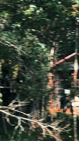 Kalaw Trip #kalaw #zipline #shanstate 🇲🇲🇲🇲🇲🇲 #happy #nature 