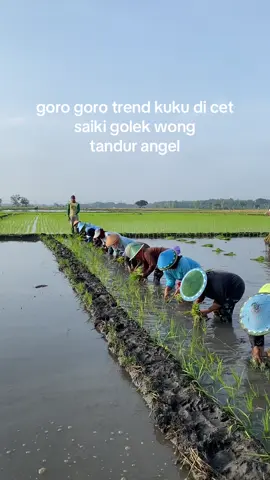 ngrepoti tenan #petaniabiezz #akukanpetaniabiez 