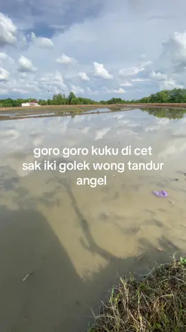 #fyp#kukucantik#petani#4u 