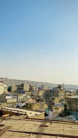 Support zarorat de ❤️#creatorsearchinsights #foryoupage 