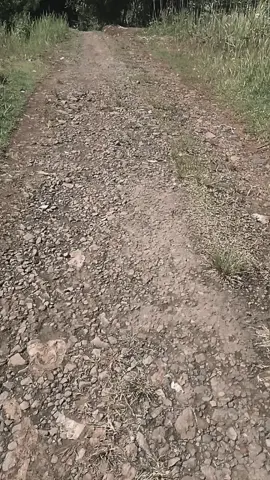 omeken jalan lain mbg wae persiden atuh sorotan bantu like ###########promomakanharian 