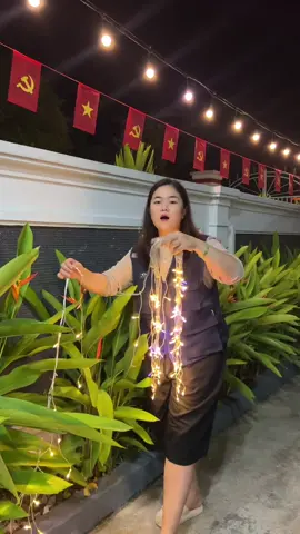 Quá rẻ, miễn ship #trangtritet #dayledtrangtri #denled #dayledtrangtringoaitroi #tuledtongkhohangtet 