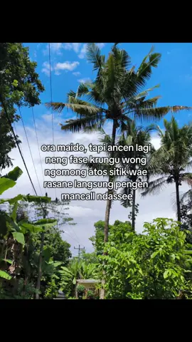 gejala opo Iki kirokiro #bahanswmu #masukberanda #fyp 