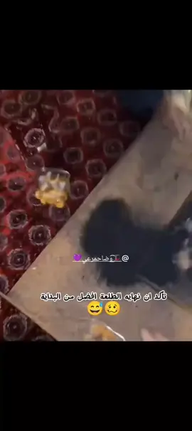 #في هذا اليوم #ابوعجيب #ابوحصه🐰 