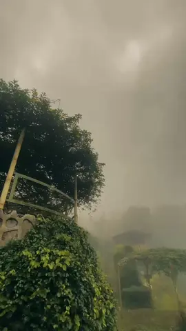 #kabut#masukberanda#fyp#fyppppppppppppppppppppppp#wisatasemarang#sumowonobamboogarden#fyppppppppppppppppppppppp#fyp 
