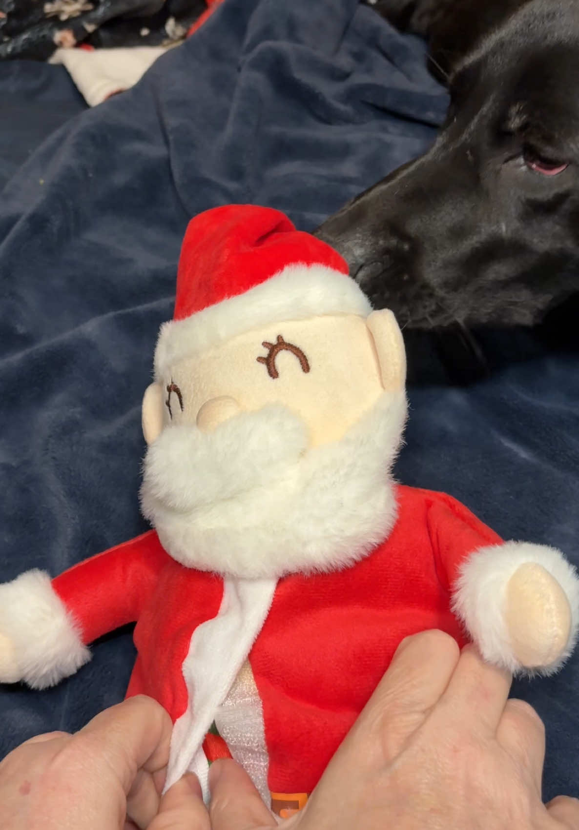 9 dog toys in one, Christmas edition! Dogsoftiktok #dogtoy #dogenrichment #puppytoys #tiktokshopblackfriday #dogtoys