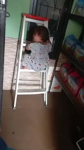 Sejak usia 6 bulan ....ibu nya kasi susu gomilku SR12 buat Ananda  yang lahir dalam keadaan Downsyndrom  Alhamdulillah sampai sekarang ananda makin sehat  bahkan tumbuh kembang ananda sama sperti anak anak lainya  bisa jalan di usia 11 bulan  Masya Allah wasilah susu etawa gomilku SR12  #liliwahyunisr12 #sr12 #gomilkusr12 #downsyndromeawareness  #downsyndrom 