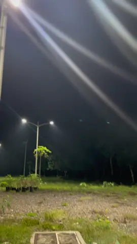 Wave lang hanggang mamatay #thdmelites #wave100thailand #wave125i_ไฟเลี้ยวบังลม #wavesociety #vanzconceptproject🇹🇭 