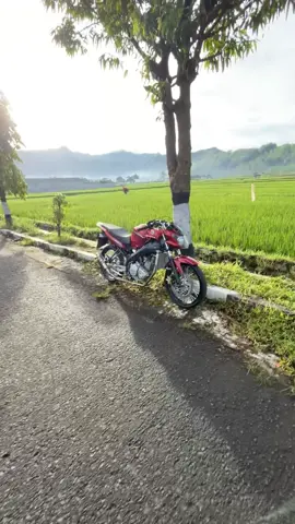 Ngisuk wo mangkat sawah😆#fypシ゚ #vixion #prostreet #vixionprostreet #vixion_modifikasi 