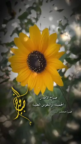 #صباحكم_أحلى_صباح🌹🌹 