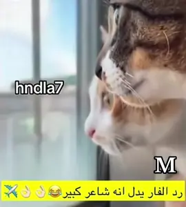 #في هذا اليوم 