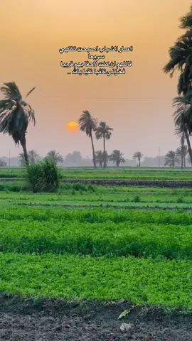 #fyp #اكسبلورexplore #p #الغروب_من_تصويري #مالي_خلق_احط_هاشتاقات 