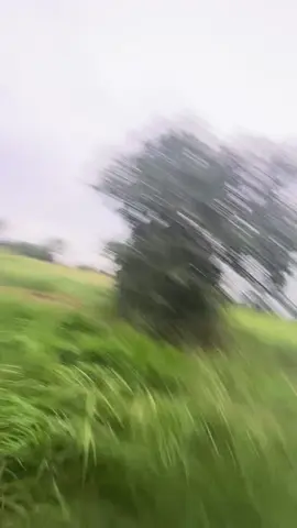 មានអីជិះនិងទៅ😆#ធ្លាក់likeអស់ហើយ🙂💔 