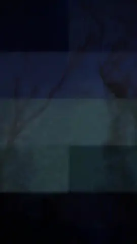 #لااله_الا_انت_سبحانك_اني_كنت_من_ظالمين 